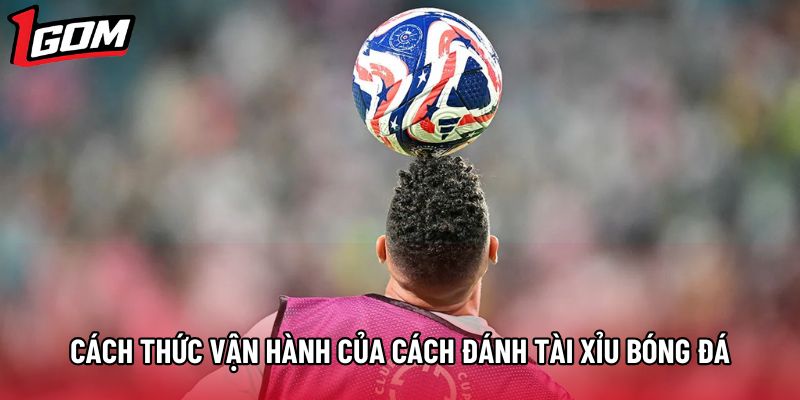 Cách thức vận hành của cách đánh tài xỉu bóng đá
